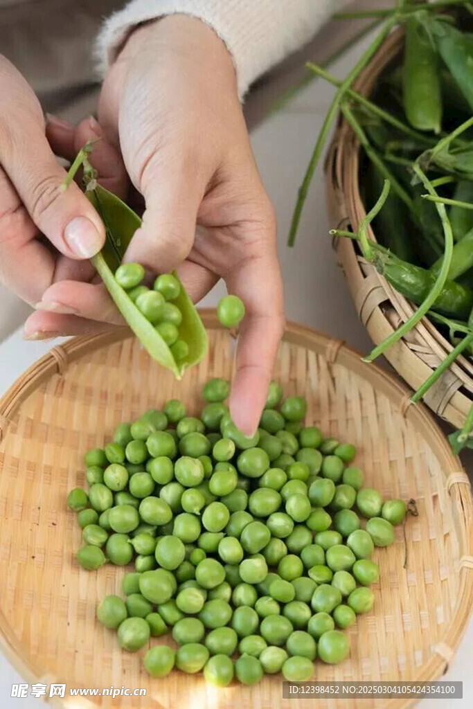 豌豆青豆