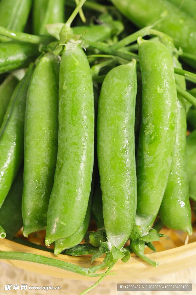豌豆青豆