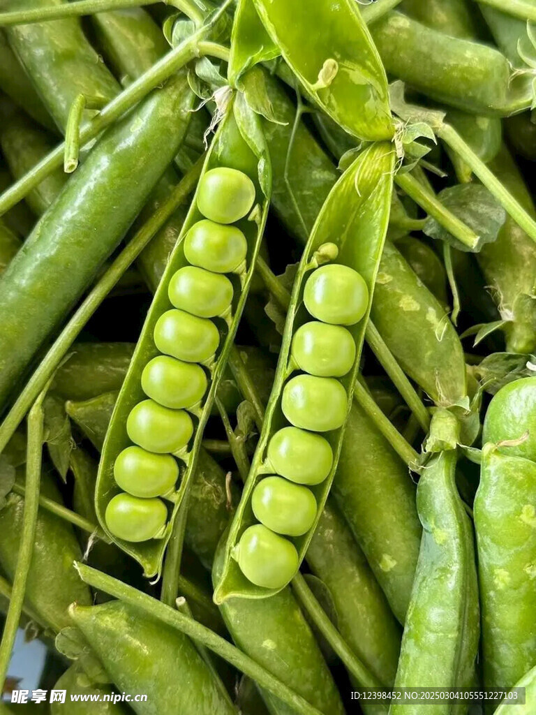 豌豆青豆