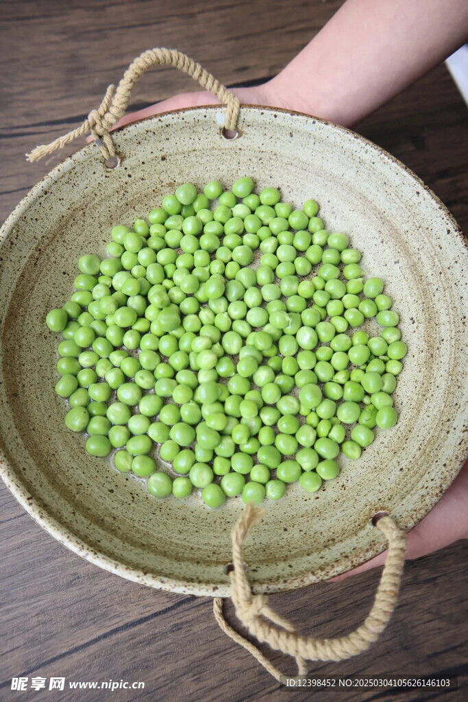 豌豆青豆