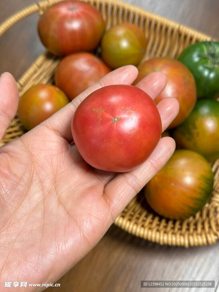 番茄