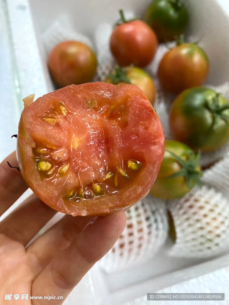 番茄