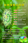 植物细胞