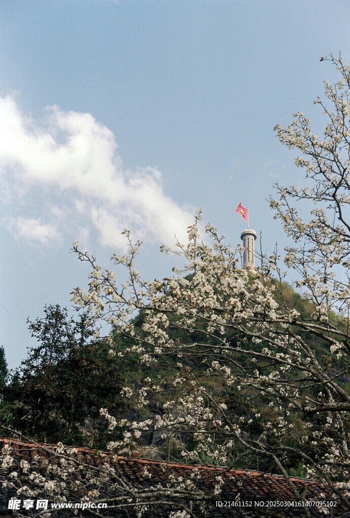 梅花