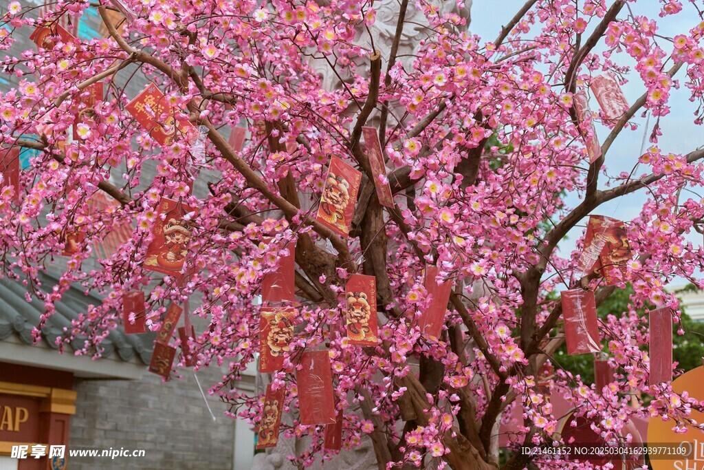 梅花