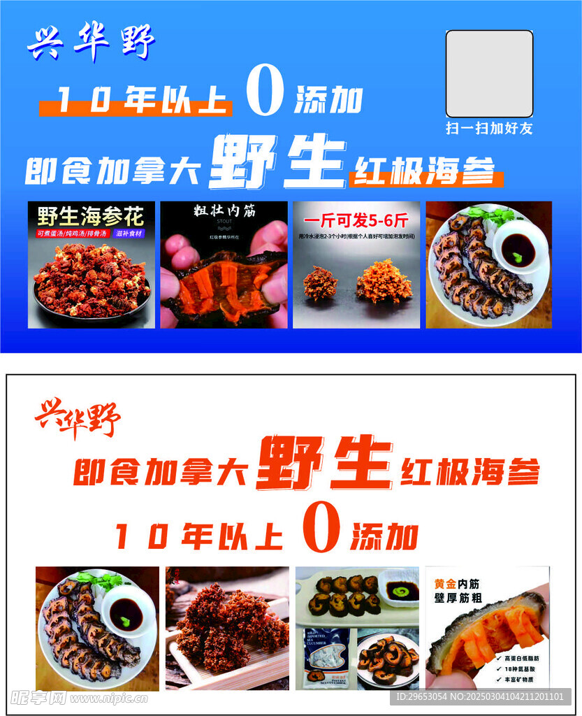 海参
