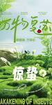 惊蛰万物复苏