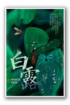 白露