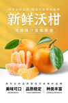 沃柑