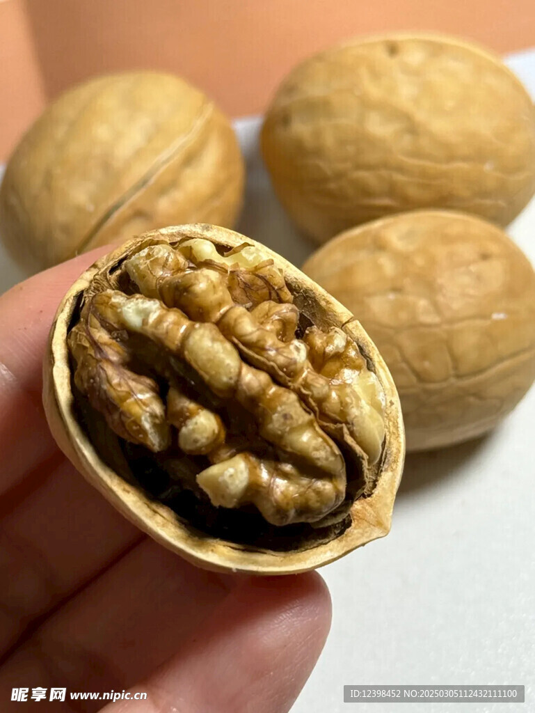 核桃