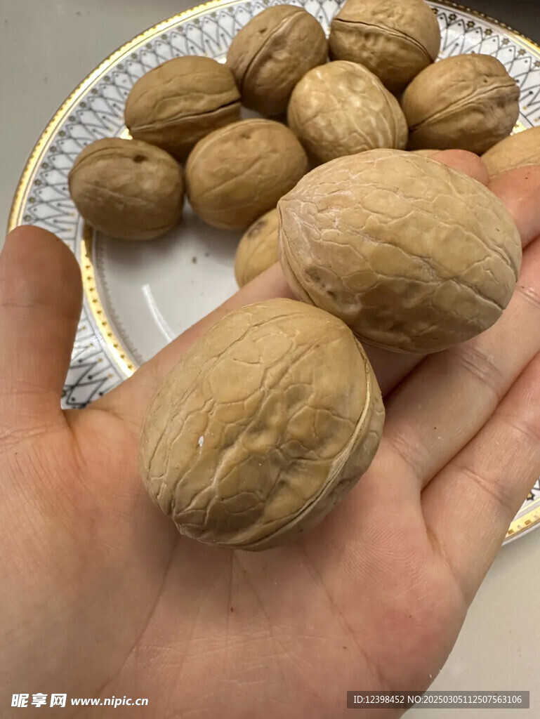 核桃