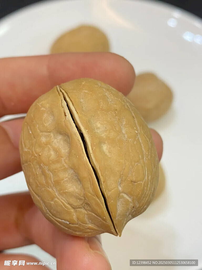 核桃