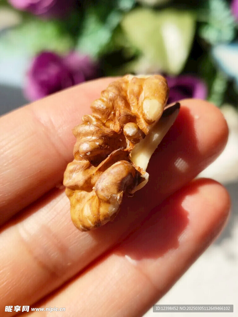核桃