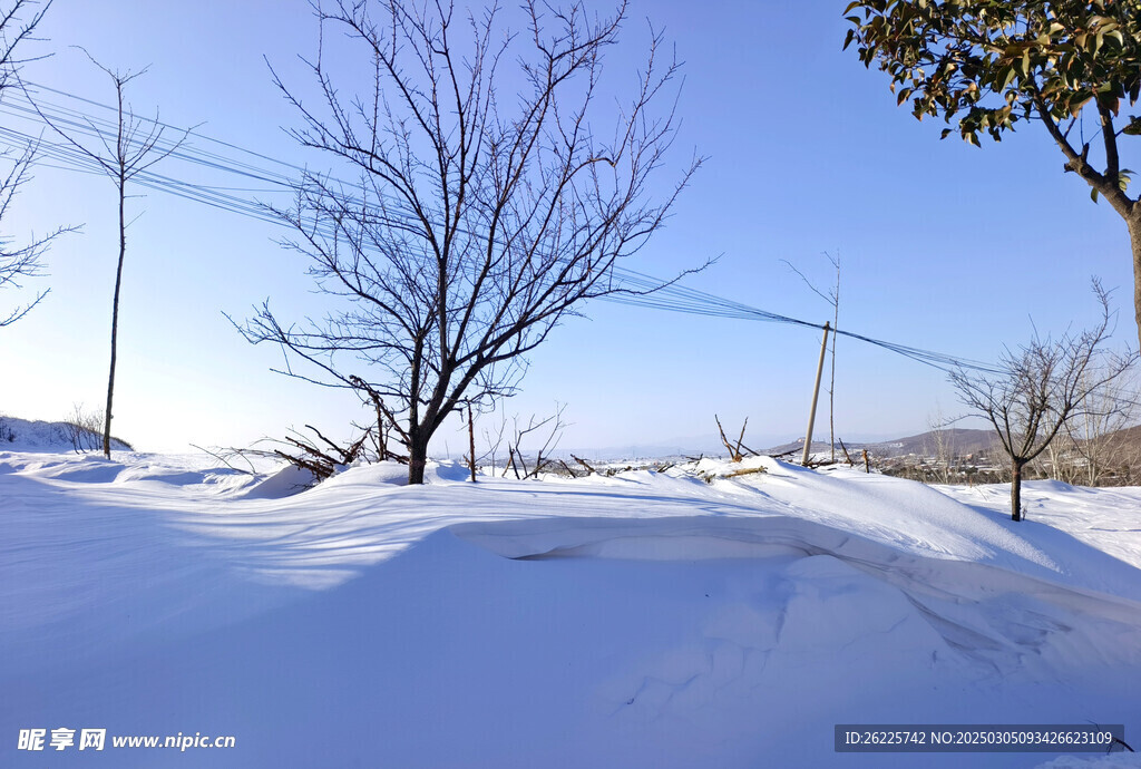 雪景