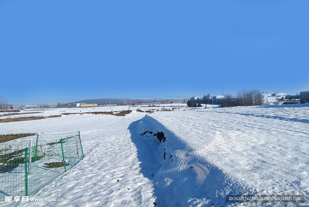 雪地