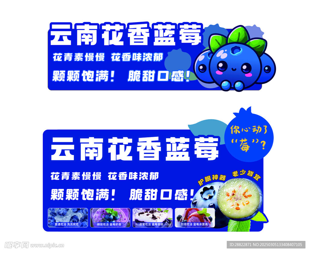 蓝莓异型水果牌
