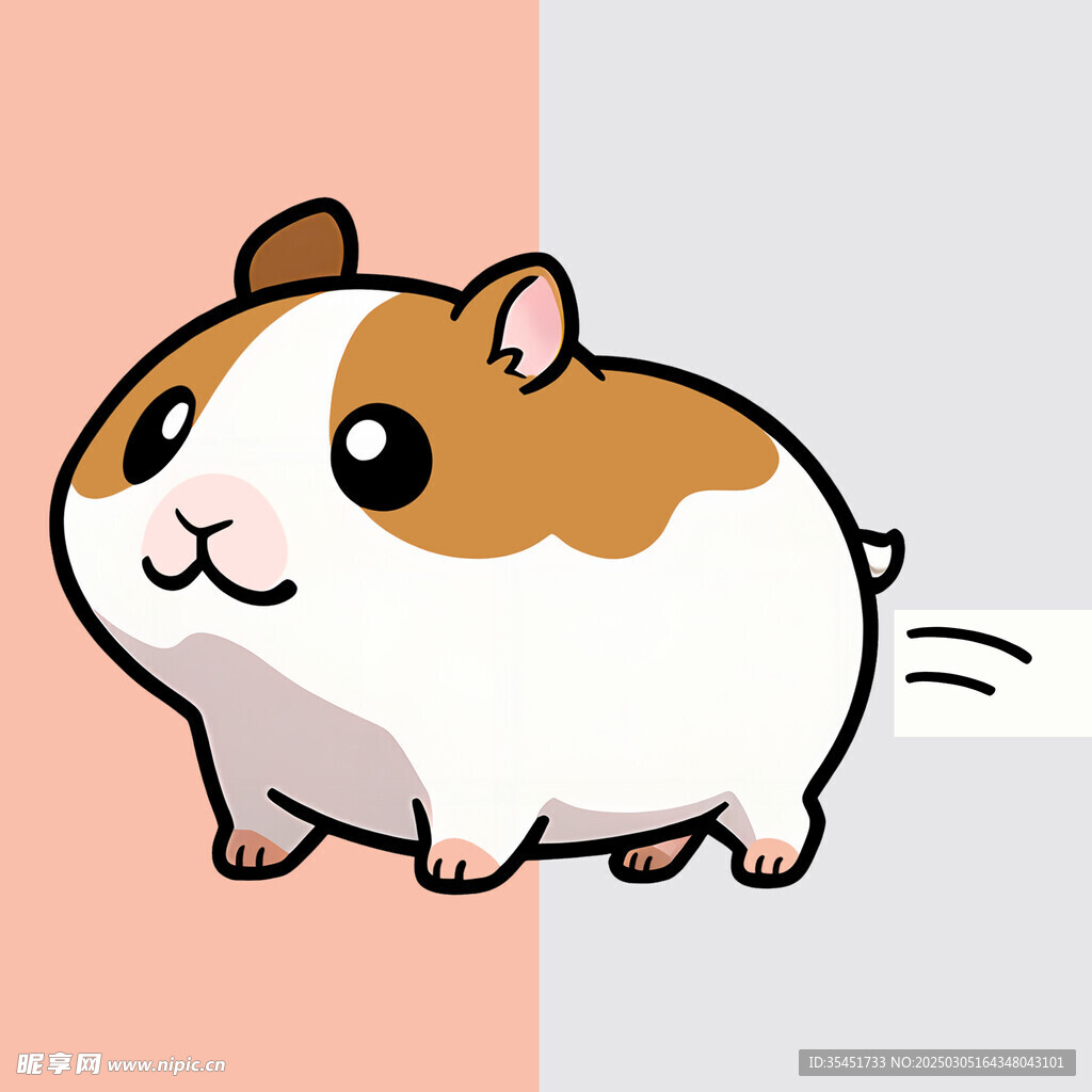 可爱豚鼠