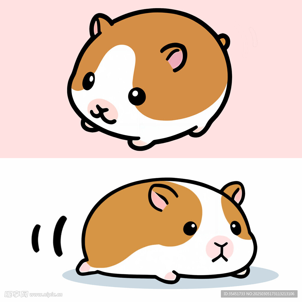 可爱豚鼠