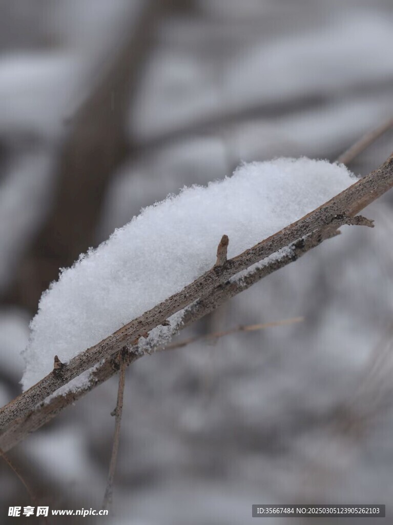 雪