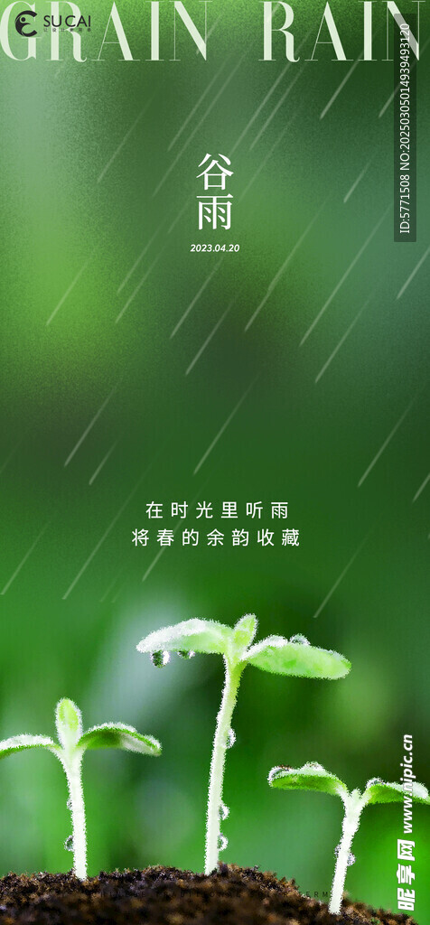 谷雨