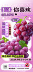 葡萄海报