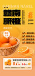 脐橙海报