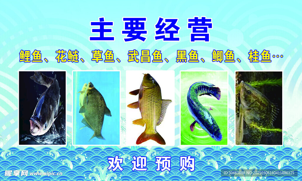 鱼海鲜名片广告