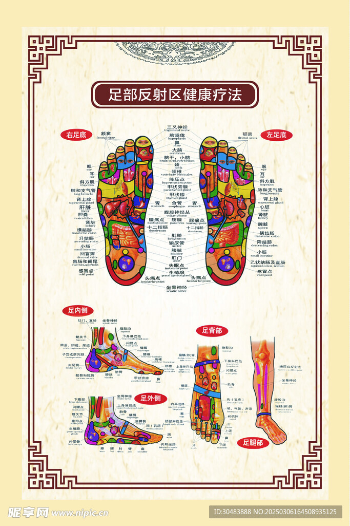 中医穴位示意图