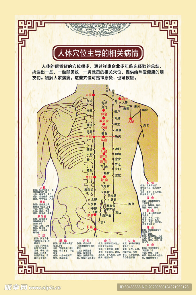 中医养生经络保健海报