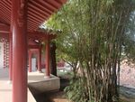 园林景观