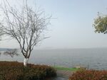 东湖水岸