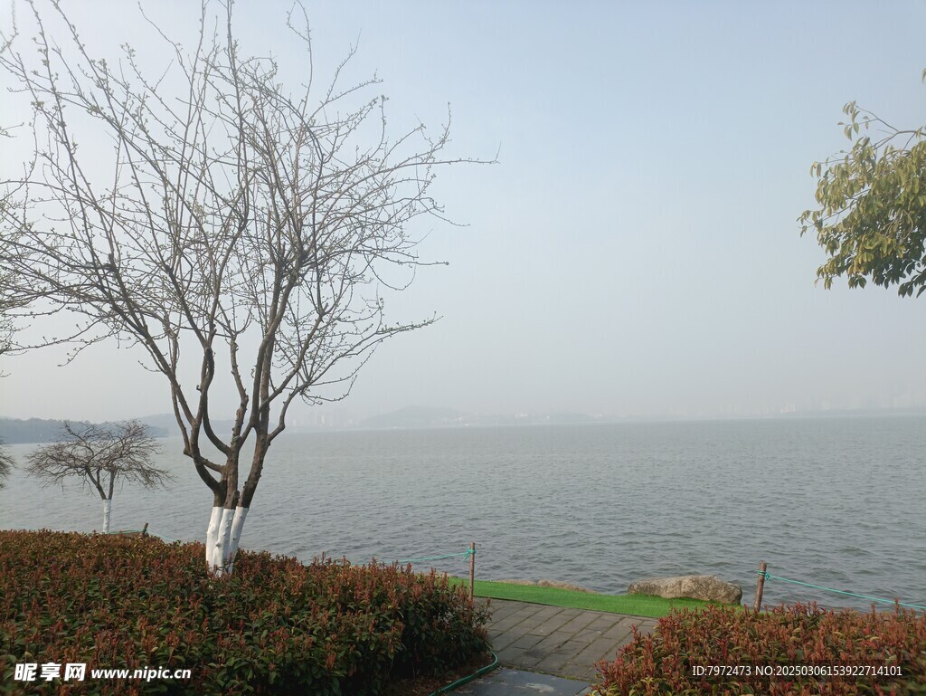 东湖水岸