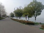 道路绿化