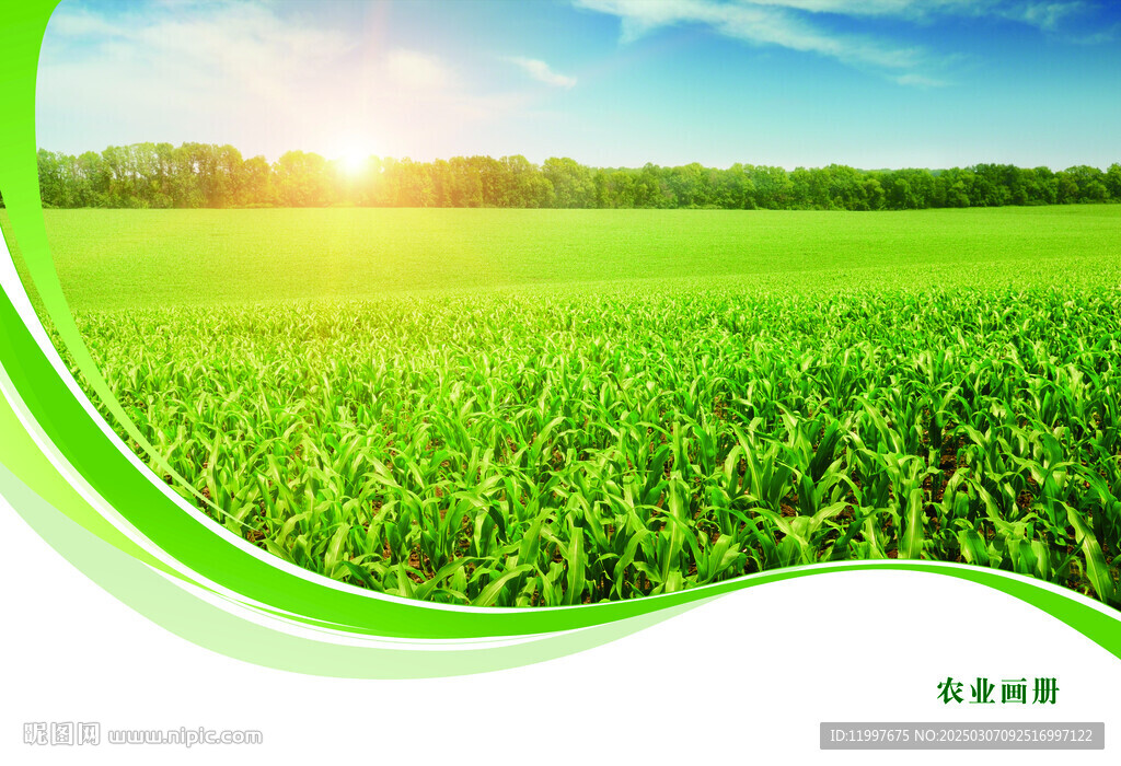 农业画册封面
