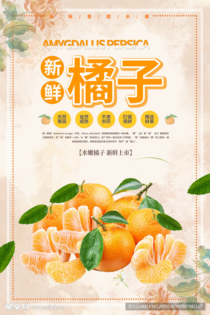 橘子