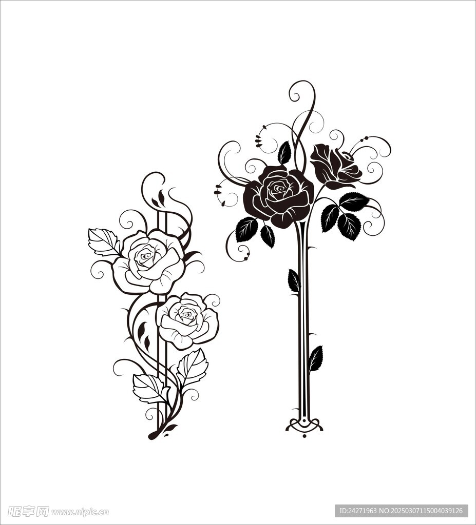 玫瑰花