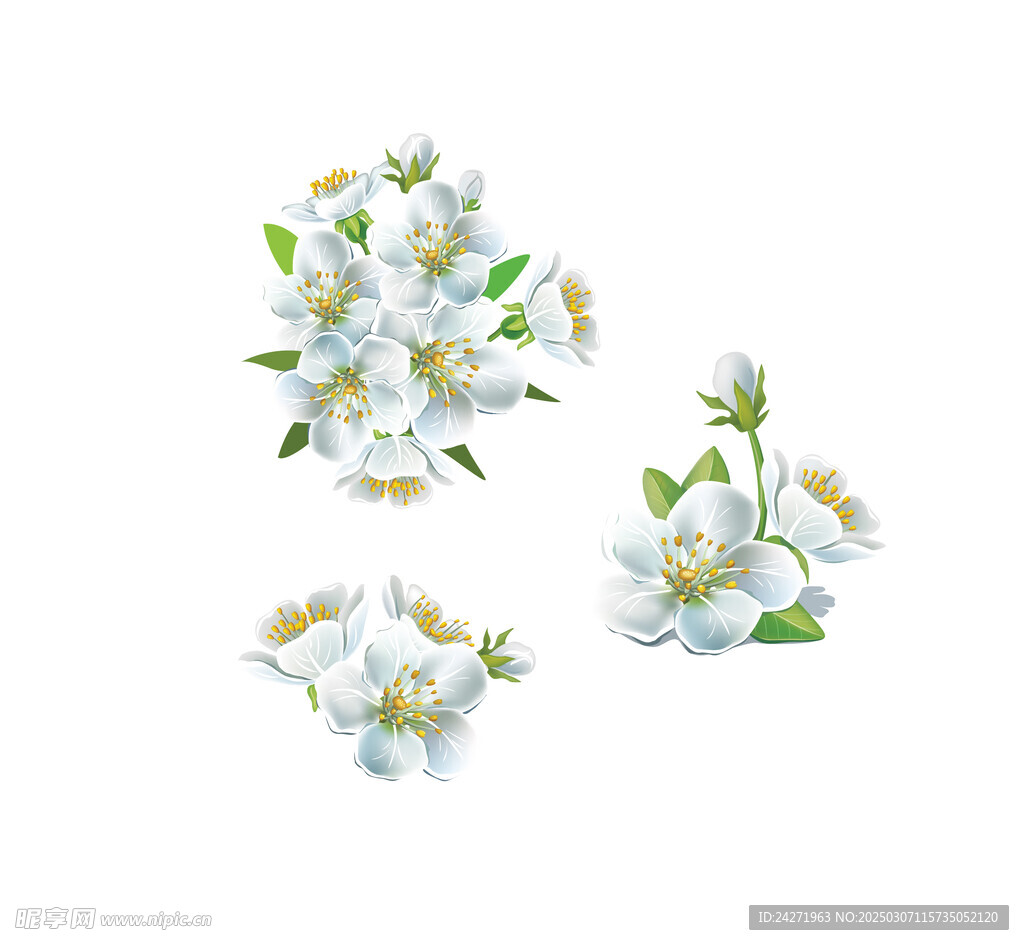 梨花