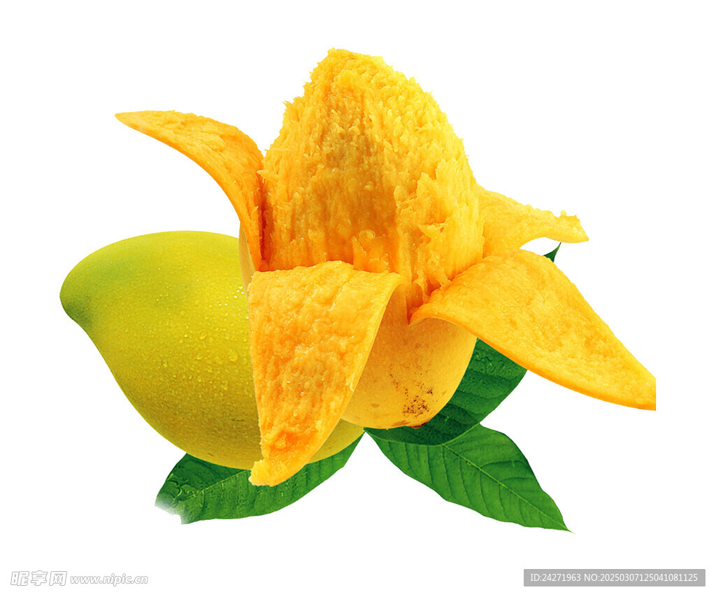 芒果
