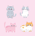 猫咪