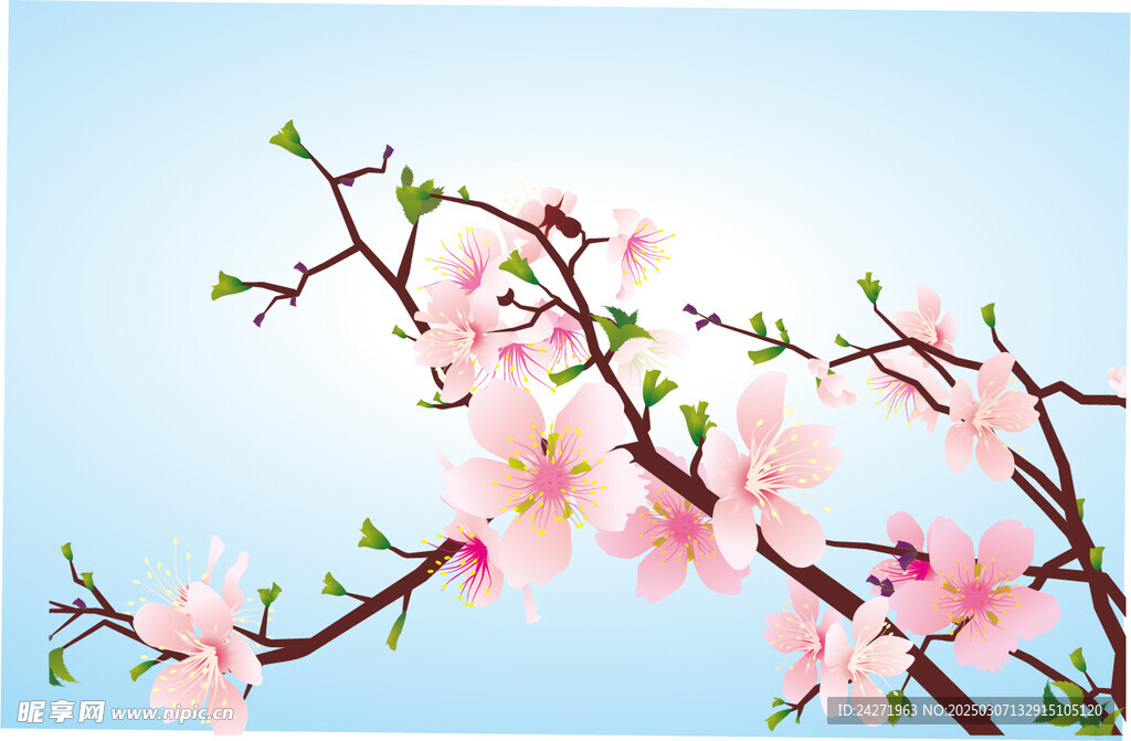 桃花