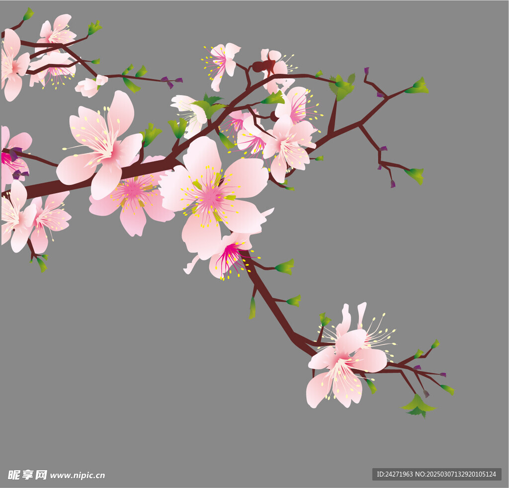 桃花