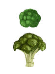 西兰花