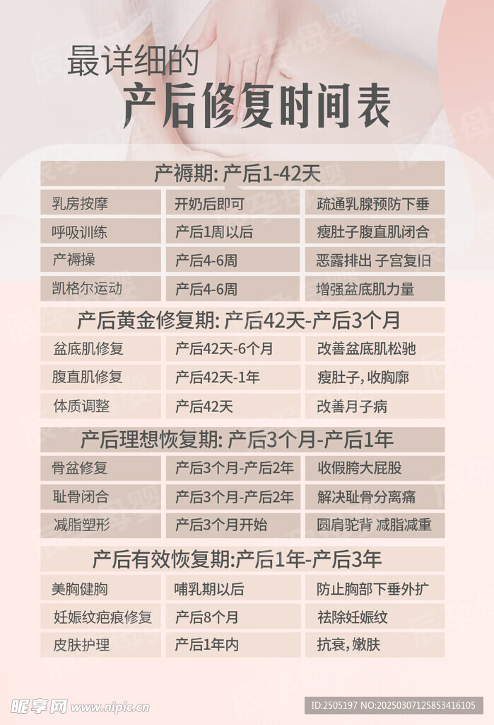 产后修复时间表