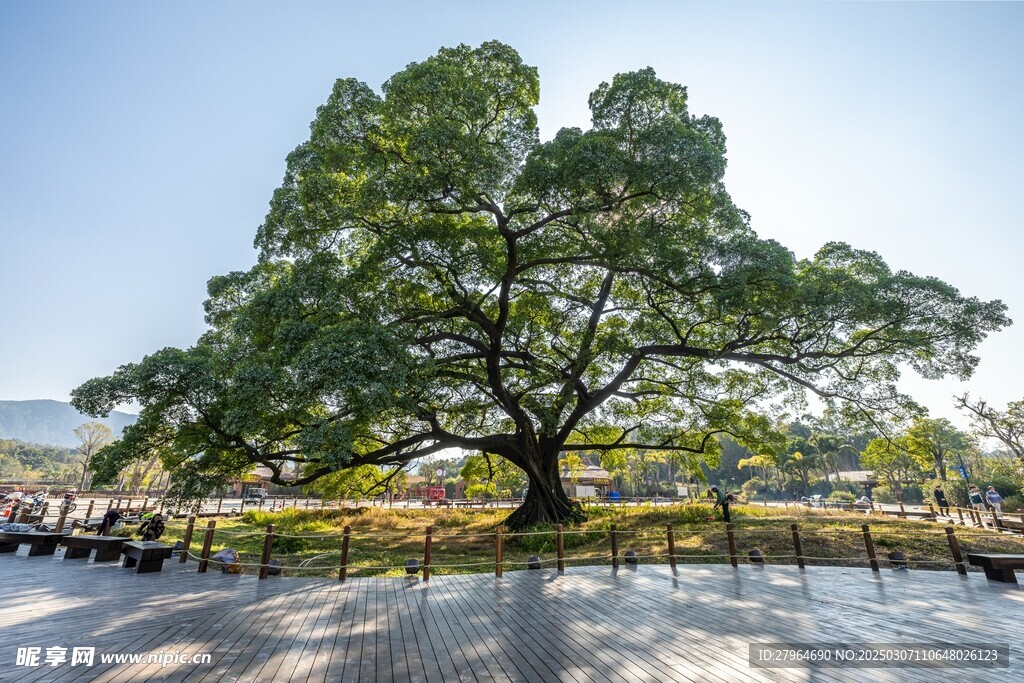 清远长隆森林王国