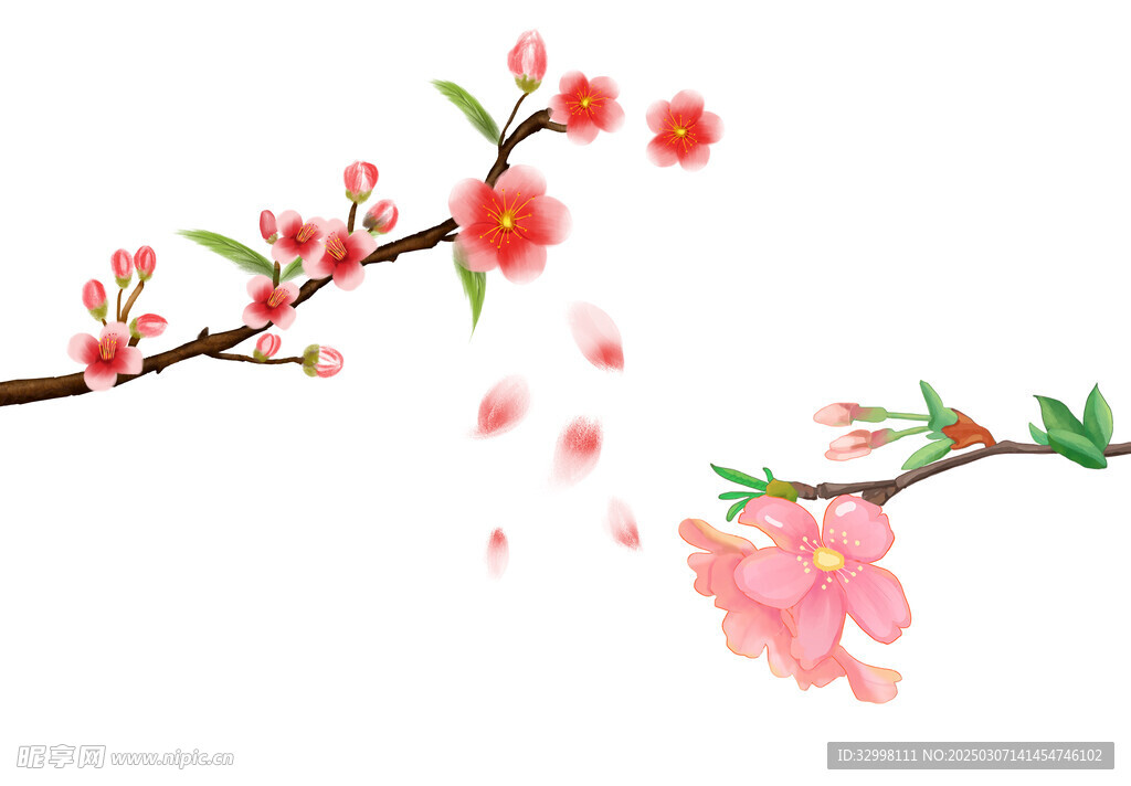 桃花素材