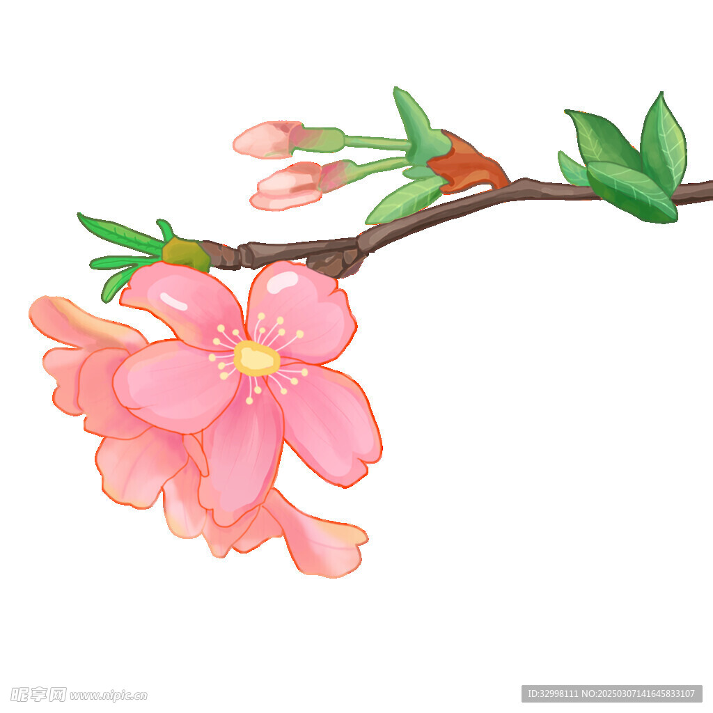 桃花