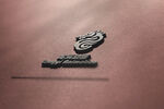 logo样机