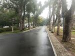 公园道路