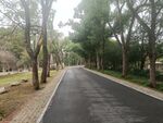 公园道路