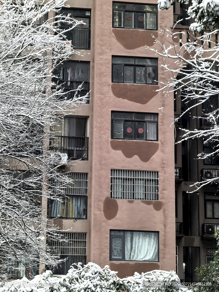 小区雪景